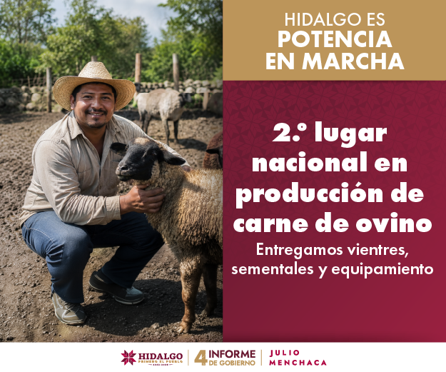 2o Lugar en Lana - Cuarto Informe Hidalgo