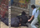 detenidos